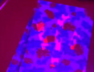 �׹�����໨���˿���